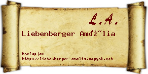 Liebenberger Amália névjegykártya